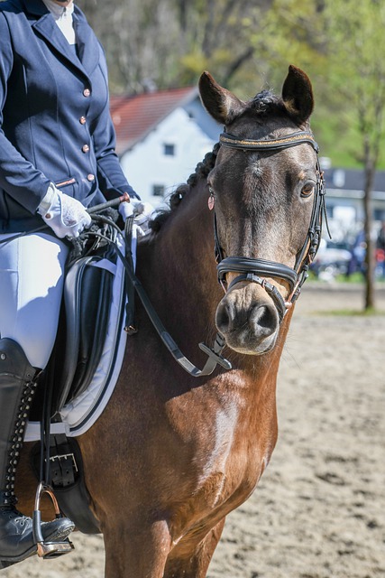 成為主力輪 成為主力輪