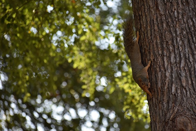 次调整不仅 次调整不仅