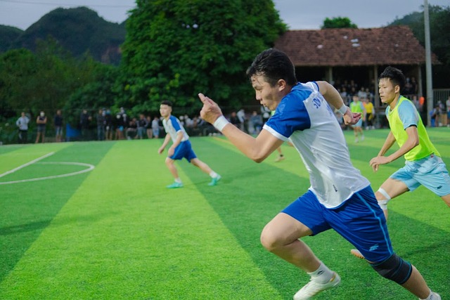 球治理結構 球治理結構