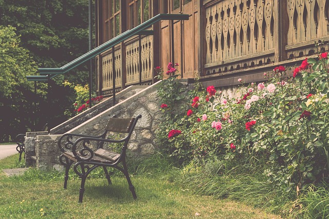 赛事期间 赛事期间