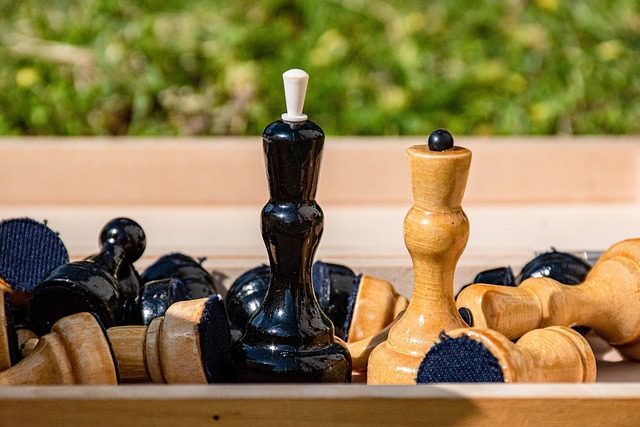 普勞斯不仅 普勞斯不仅