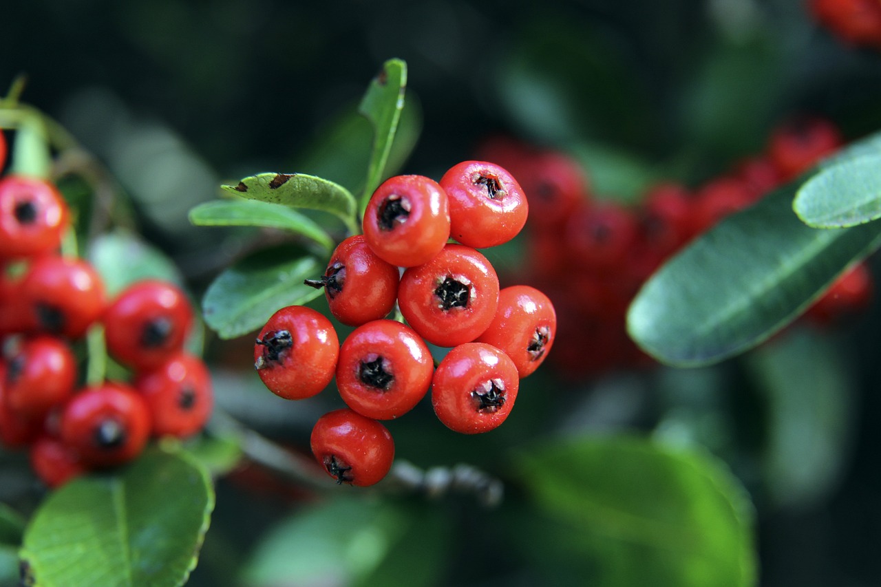外线的不平 外线的不平