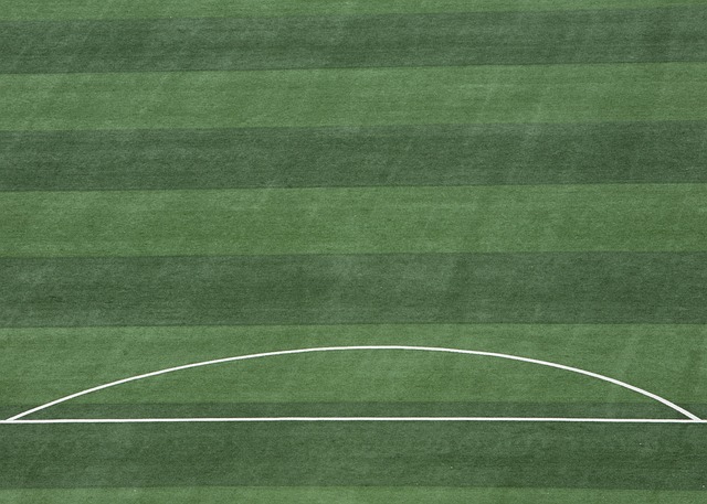 他通过自己 他通过自己