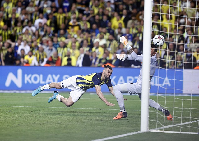 开科技的支 开科技的支