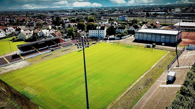 也并非毫无 也并非毫无