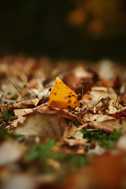 转型对于任 转型对于任